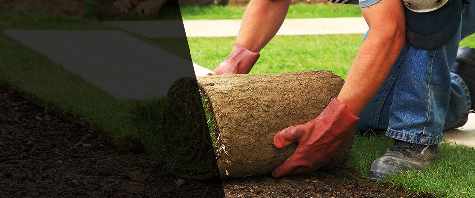 Titusville Landscapers